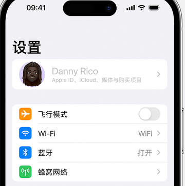 三伏潭镇appleID维修服务iPhone设置中Apple ID显示为灰色无法使用 