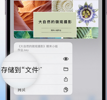 三伏潭镇apple维修中心分享iPhone文件应用中存储和找到下载文件