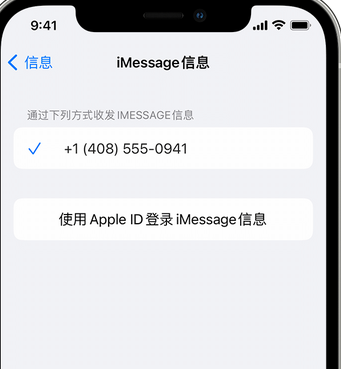 三伏潭镇apple维修iPhone上无法正常发送iMessage信息 