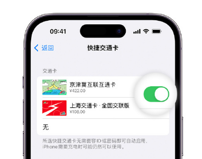 三伏潭镇apple维修点分享iPhone上更换Apple Pay快捷交通卡手绘卡面 