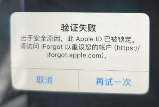 三伏潭镇iPhone维修分享iPhone上正常登录或使用AppleID怎么办 