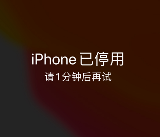 三伏潭镇苹果手机维修分享:iPhone 显示“不可用”或“已停用”怎么办？还能保留数据吗？ 