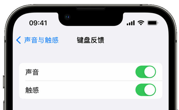 三伏潭镇苹果手机维修分享iPhone 14触感键盘使用方法 