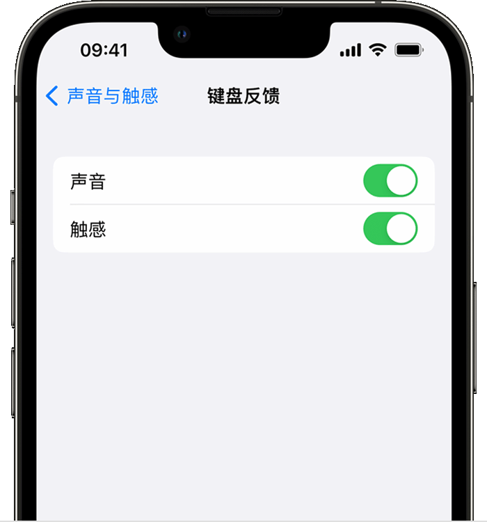 三伏潭镇苹果14维修店分享如何在 iPhone 14 机型中使用触感键盘 