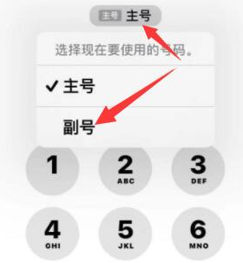 三伏潭镇苹果14维修店分享iPhone 14 Pro Max使用副卡打电话的方法 