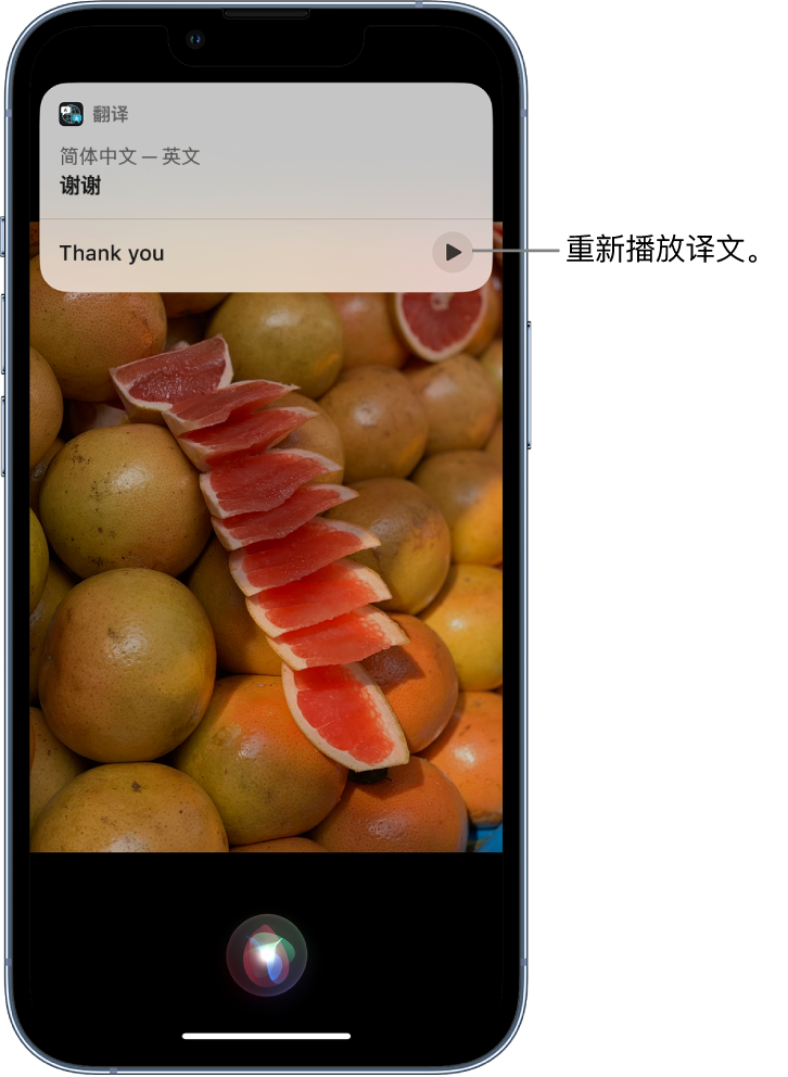 三伏潭镇苹果14维修分享 iPhone 14 机型中使用 Siri：了解 Siri 能帮你做什么 