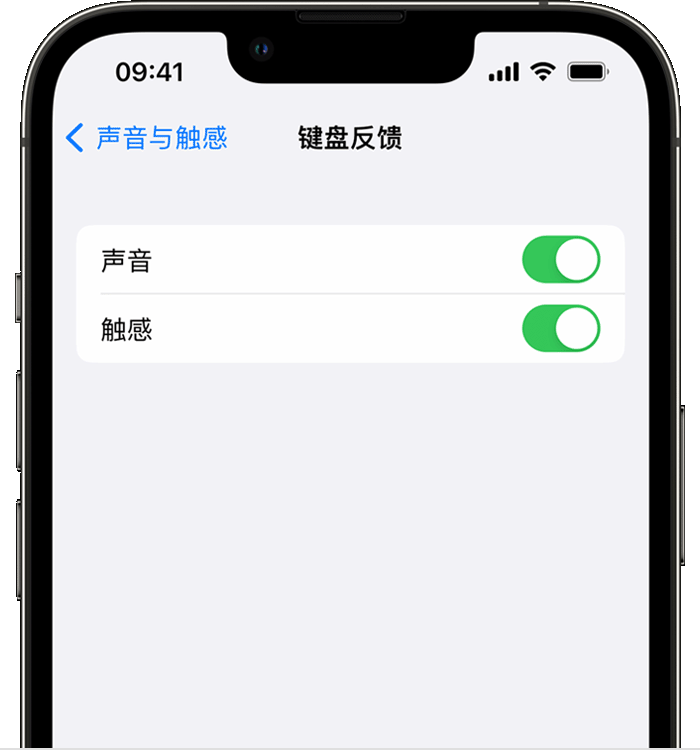 三伏潭镇苹果14维修分享iPhone 14 系列机型如何开启键盘声音或触感反馈 