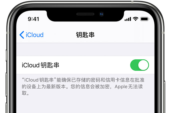 三伏潭镇苹果手机维修分享在 iPhone 上开启 iCloud 钥匙串之后会储存哪些信息 