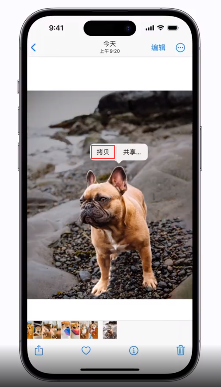 三伏潭镇苹果手机维修分享 iOS 16 自带一键抠图功能 
