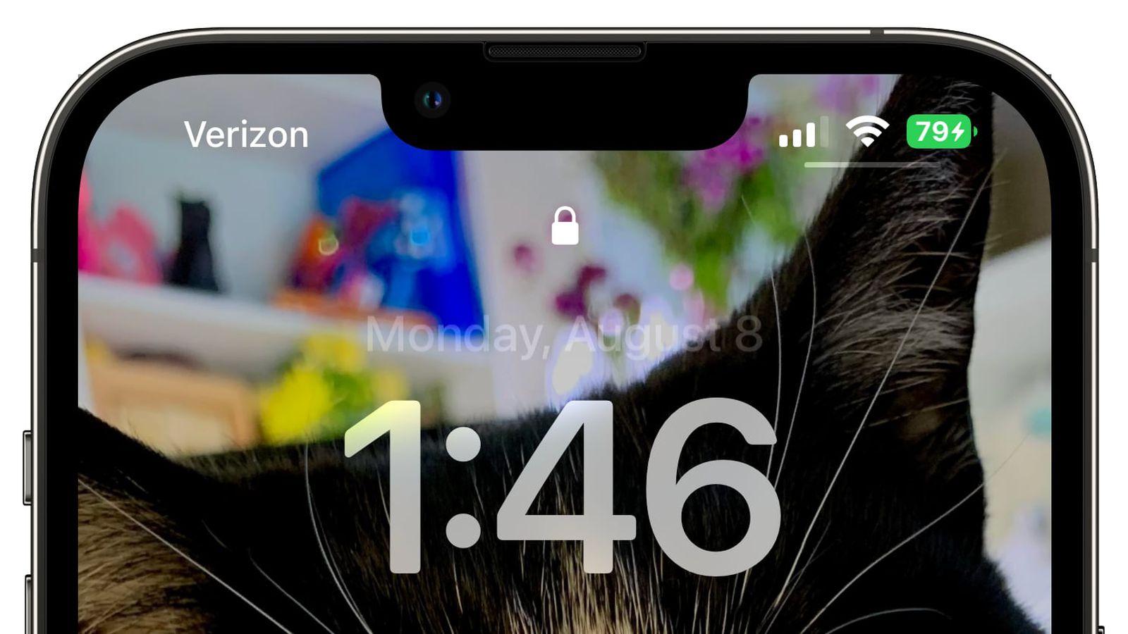 三伏潭镇苹果手机维修分享iOS 16 beta 5 支持状态栏显示电池百分比，如何开启？支持哪些机型 