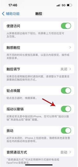 三伏潭镇苹果手机维修分享iPhone手机如何设置摇一摇删除文字 