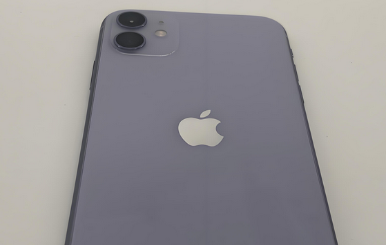 三伏潭镇苹果11系统维修分享iPhone11手机系统崩溃无法开机如何解决 